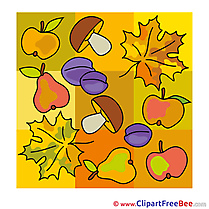 Plums Mushroom Clipart Autumn Illustrations