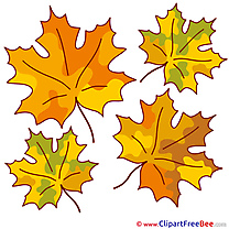Printable Leaves Illustrations Autumn