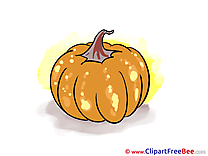 Pumpking free Illustration Autumn