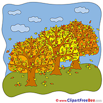 Trees Autumn free Images download