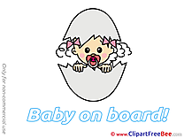 Egg Baby on board Illustrations for free