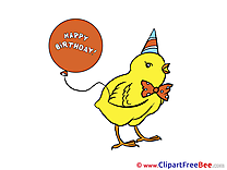 Chicken Balloon Pics Birthday free Image