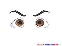 Brown Eyes Clip Art download for free