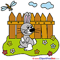 Fence Hare free Illustration download