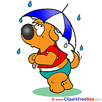Rain Bear Clipart free Illustrations