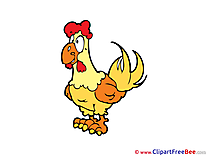 Rooster Clipart free Illustrations