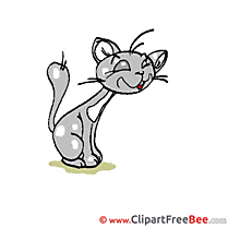 Illustration Cat free Cliparts for download