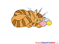 Sleeping Cat printable Images for download