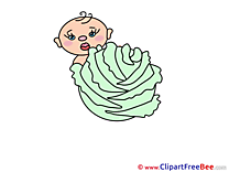 Cabbage Kid free Cliparts for download