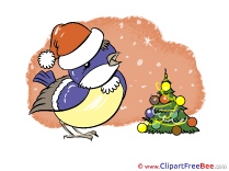 Bullfinch Pics Christmas Illustration