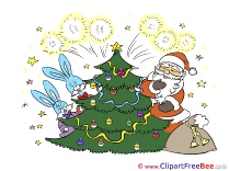 Hares Fireworks Christmas free Images download