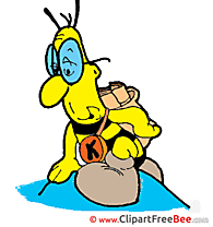 Bee free Cliparts Comic