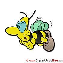 Flying Bee free Illustration Comic