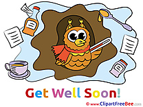 Drawing Owl Clip Art download Get Well Soon
