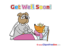 Fox Flowers Dog Clipart Get Well Soon Illustrations