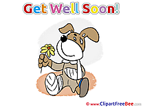 Gypsum Dog Flower free Illustration Get Well Soon