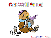 Owl Bird Get Well Soon Illustrations for free