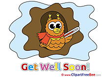 Owl Pics Get Well Soon Illustration