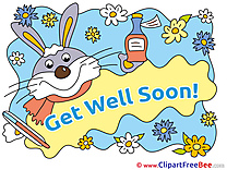 Rabbit Pills Medicine Get Well Soon free Images download