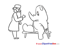 Rhino Doctor Gypsum Get Well Soon free Images download