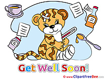 Tiger Gypsum free Cliparts Get Well Soon