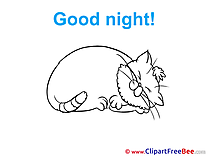 Cat free Cliparts Good Night