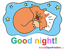 Cat Pillow Stars Clipart Good Night free Images
