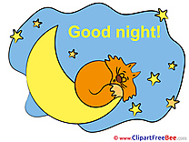 Image Cat Moon Stars download Good Night Illustrations