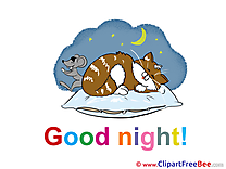 Mouse Cat printable Illustrations Good Night