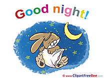 Rabbit Moon Stars Pics Good Night Illustration