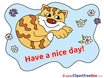Cat Have a Nice Day Illustrations for free