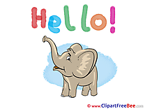 Baby Elephant Cliparts Hello for free