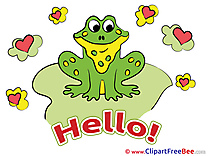 Frog Hearts Pics Hello free Image