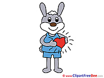 Hare Heart Pics Love free Cliparts