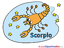 Scorpio free Illustration Zodiac