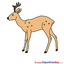 Deer Images download free Cliparts