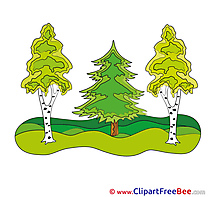 Forest Clipart free Illustrations