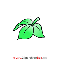 Leaves Images download free Cliparts