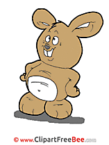 Brown Bunny Pics Easter Illustration