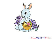 Bunny Clipart Easter free Images