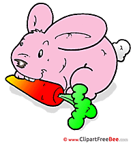 Carrot Rabbit free Illustration Easter