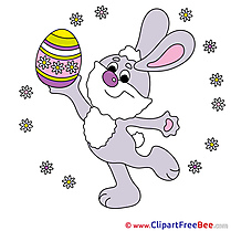 Feast Hare Pics Easter free Image