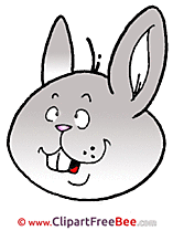 Head of Rabbit free Cliparts Easter