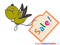 Bird Sale Cliparts Business for free