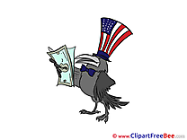 Raven Dollars free Illustration Money