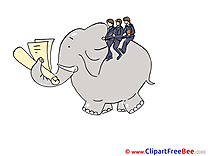Elephant Office free Cliparts for download