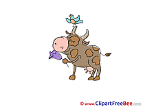 Bird Cow Flower free Cliparts for download