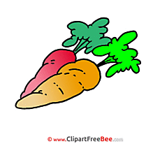 Carrots free printable Cliparts and Images