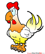Chicken download printable Illustrations