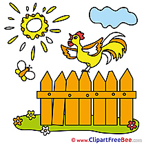 Cloud Cock Fence Pics free download Image